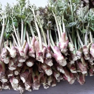 홍승한님의 작성글 사진