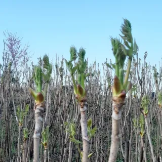 홍승한님의 작성글 사진