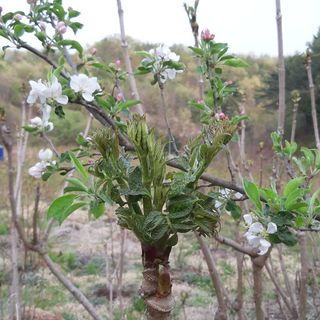 홍승한님의 작성글 사진