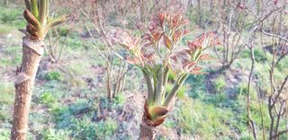 홍승한님의 작성글 사진