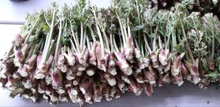 홍승한님의 작성글 사진