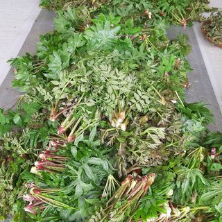 홍승한님의 작성글 사진