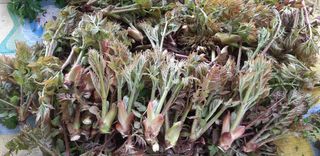 홍승한님의 작성글 사진