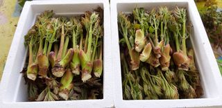 홍승한님의 작성글 사진