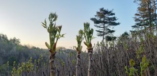 홍승한님의 작성글 사진