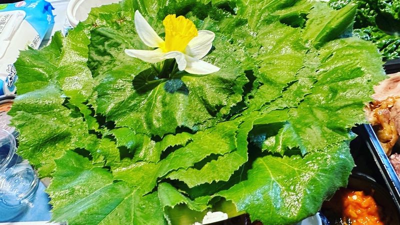 장터 상품 [자연산 머위잎1kg] 썸네일