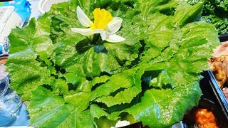 꿈 잇는 마을님의 작성글 사진