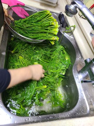 자연같이님의 두릅 · 수확 작성글 사진