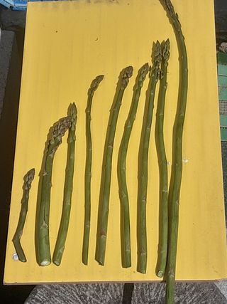 새리님의 기타작물 · 자유게시판 작성글 사진