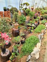 팜모닝 블루베리·자유게시판 게시글 이미지