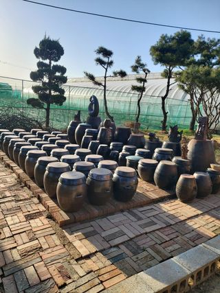 베리맘님의 블루베리 · 자유게시판 작성글 사진