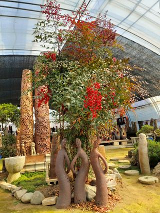 베리맘님의 블루베리 · 자유게시판 작성글 사진