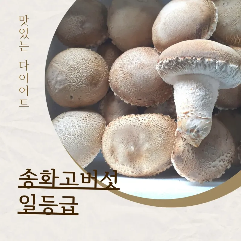 장터 상품 [송화고버섯1kg] 썸네일