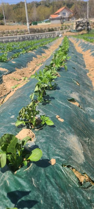 이덕훈(바쁜사람)님의 자유주제 · 자유게시판 작성글 사진