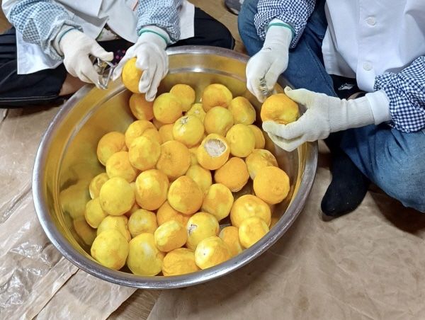 오세준님의 장터 판매 상품 [청산도 유자청 2.1kg 3만원 1kg 1만5천원] 첨부 사진