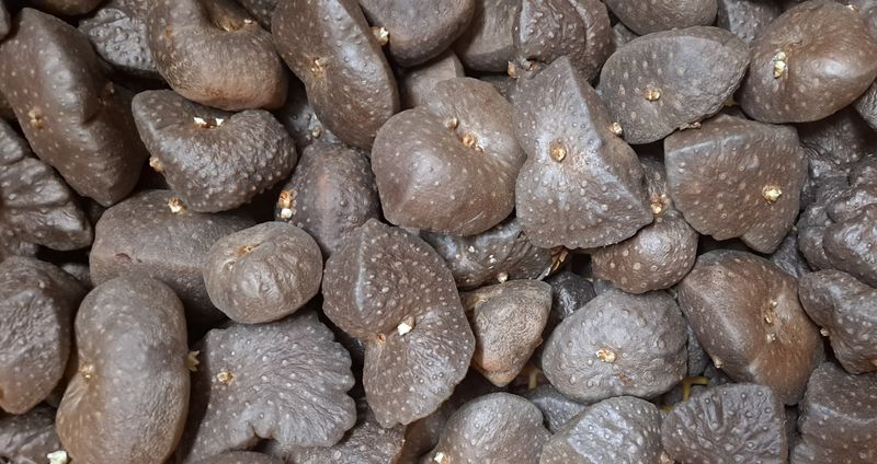 장터 상품 [하늘마 5Kg, 10Kg] 썸네일