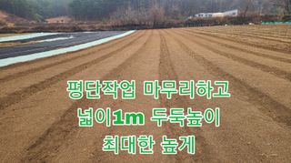 조병대님의 기타작물 · 자유게시판 작성글 사진