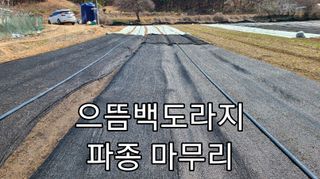 조병대님의 기타작물 · 자유게시판 작성글 사진