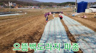 조병대님의 기타작물 · 자유게시판 작성글 사진