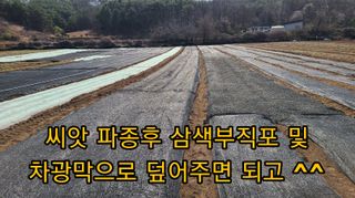 조병대님의 기타작물 · 자유게시판 작성글 사진