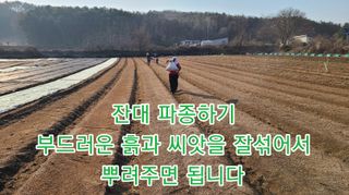 조병대님의 기타작물 · 자유게시판 작성글 사진