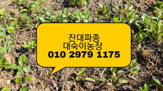 조병대님의 기타작물 · 자유게시판 작성글 사진