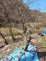 팜모닝 자유주제·자유게시판 게시글 이미지