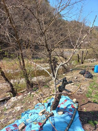 송남호님의 자유주제 · 자유게시판 작성글 사진