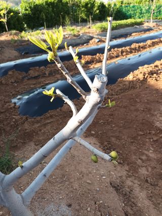 김은숙님의 자유주제 · 자유게시판 작성글 사진