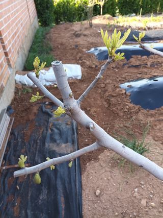 김은숙님의 자유주제 · 자유게시판 작성글 사진