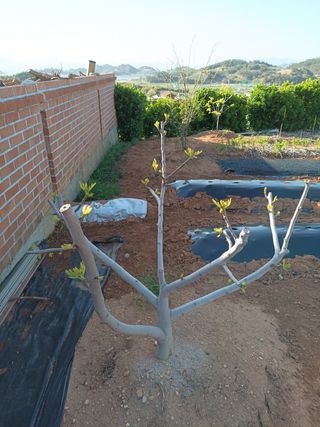 김은숙님의 자유주제 · 자유게시판 작성글 사진