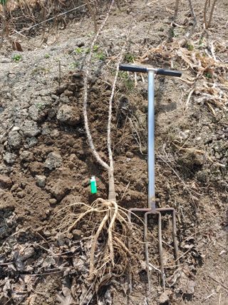 임승철(들과숲)님의 작성글 사진