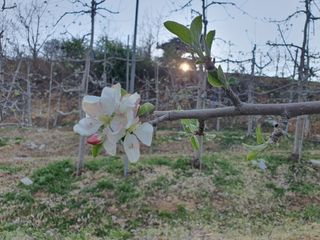 싹난사과님의 사과 · 일상 작성글 사진