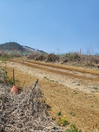 아준님의 자유주제 · 자유게시판 작성글 사진
