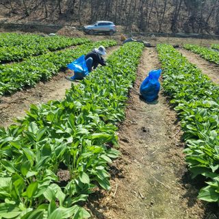 이종권님의 기타작물 · 자유게시판 작성글 사진