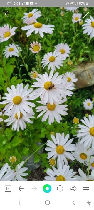 알 수 없음님의 기타작물 · 자유게시판 작성글 사진