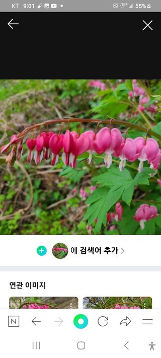 알 수 없음님의 기타작물 · 자유게시판 작성글 사진