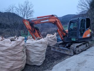 이호성님의 두릅 · 품종•종자 작성글 사진