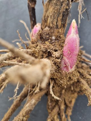 이호성님의 작성글 사진