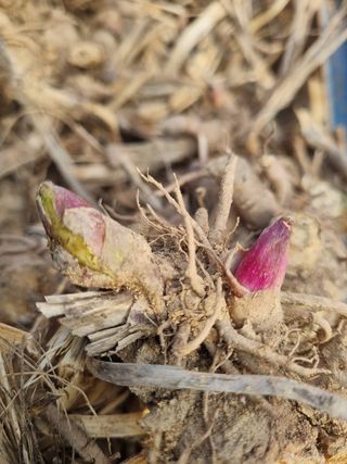 이호성님의 작성글 사진