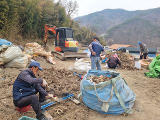 이호성님의 작성글 사진