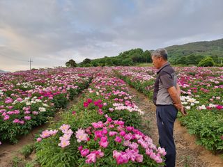 이호성님의 작성글 사진