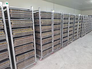 사천시향촌동 돼지띠님의 벼 · 자유게시판 작성글 사진