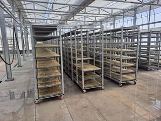 사천시향촌동 돼지띠님의 벼 · 자유게시판 작성글 사진