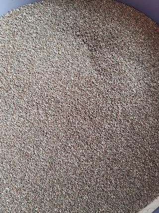 서미경님의 작성글 사진