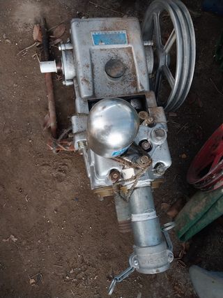 괴산 순정농부님의 작성글 사진