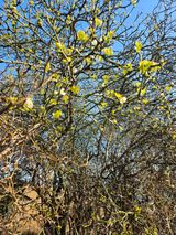 팜모닝 자유주제·자유게시판 게시글 이미지