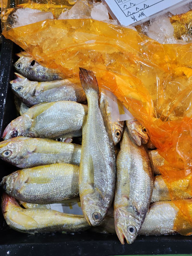 매일굴비센타 님의 장터 판매 상품 [깔끔 손질조기 한팩 500그램 ] 첨부 사진