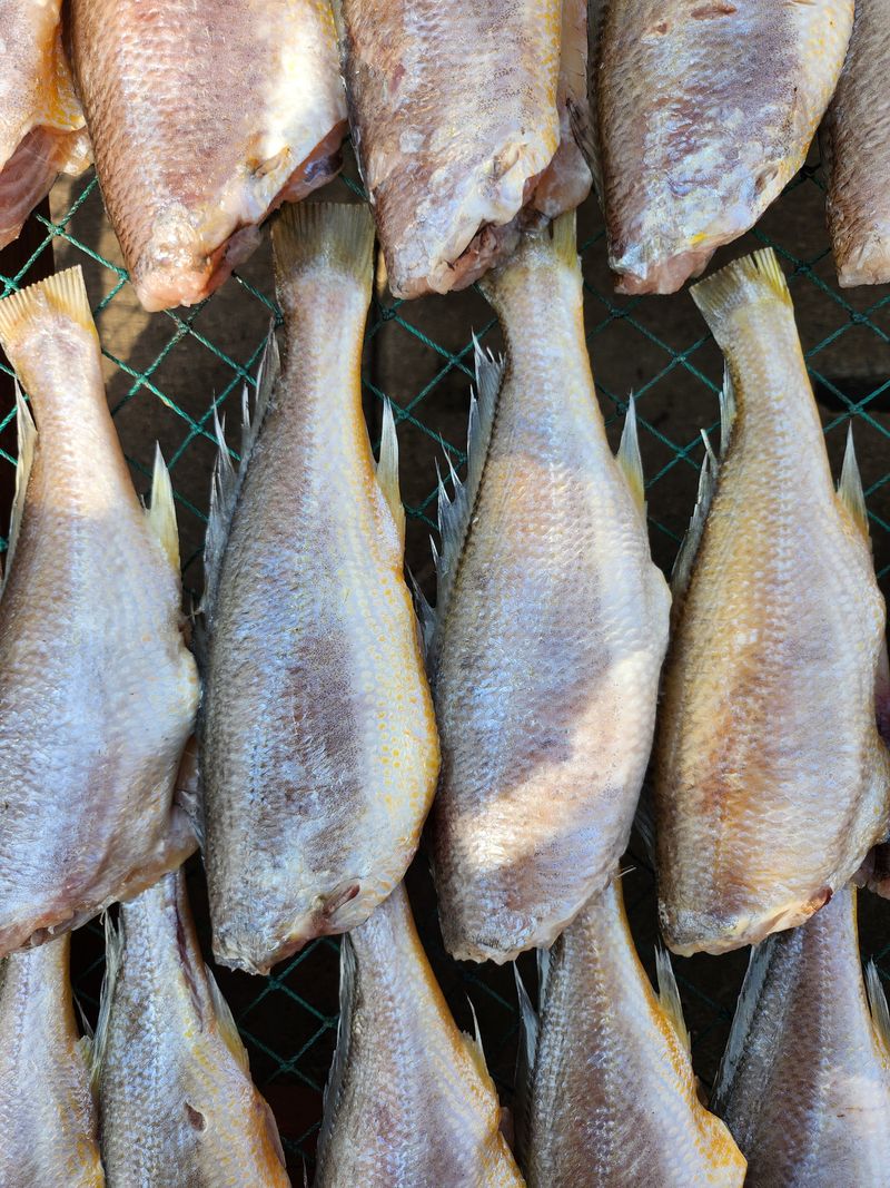 매일굴비센타 님의 장터 판매 상품 [깔끔 손질조기 한팩 500그램 ] 첨부 사진