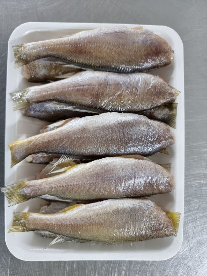 매일굴비센타 님의 장터 판매 상품 [깔끔 손질조기 한팩 500그램 ] 첨부 사진